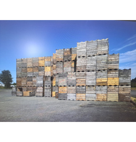 PALOX BOIS CHILI 2E CHOIX