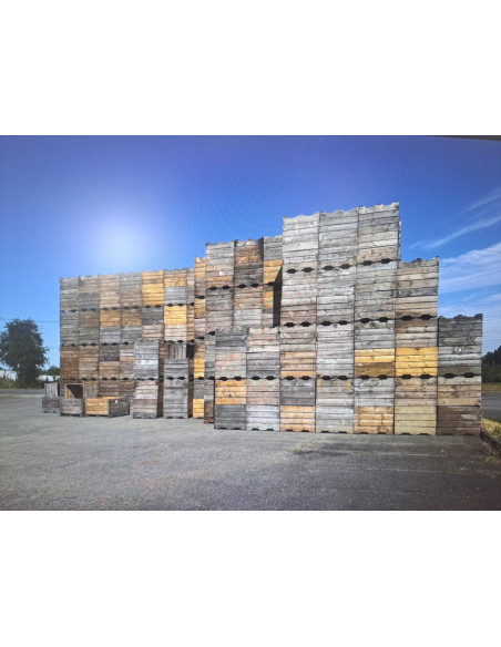 PALOX BOIS CHILI 2E CHOIX