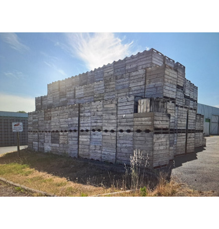 PALOX BOIS CHILI 2E CHOIX