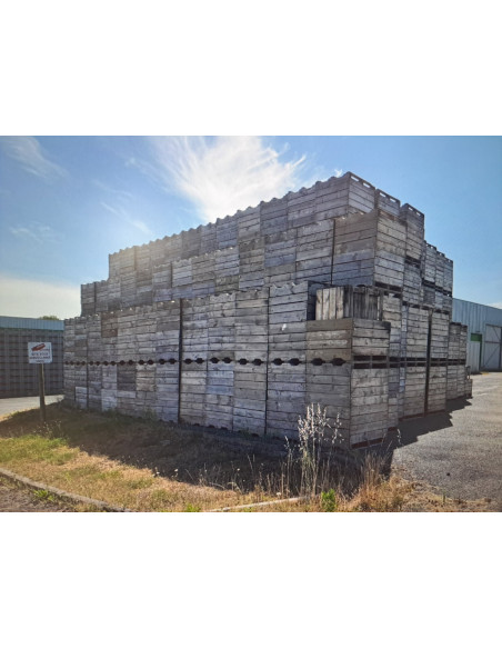 PALOX BOIS CHILI 2E CHOIX