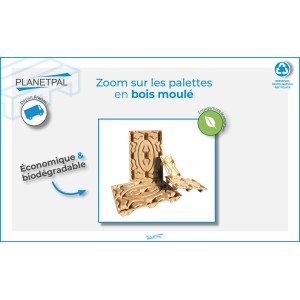 LES PALETTES EN BOIS MOULÉ